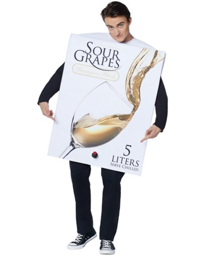 Adult Box Of Wine Costume by Spirit Halloween