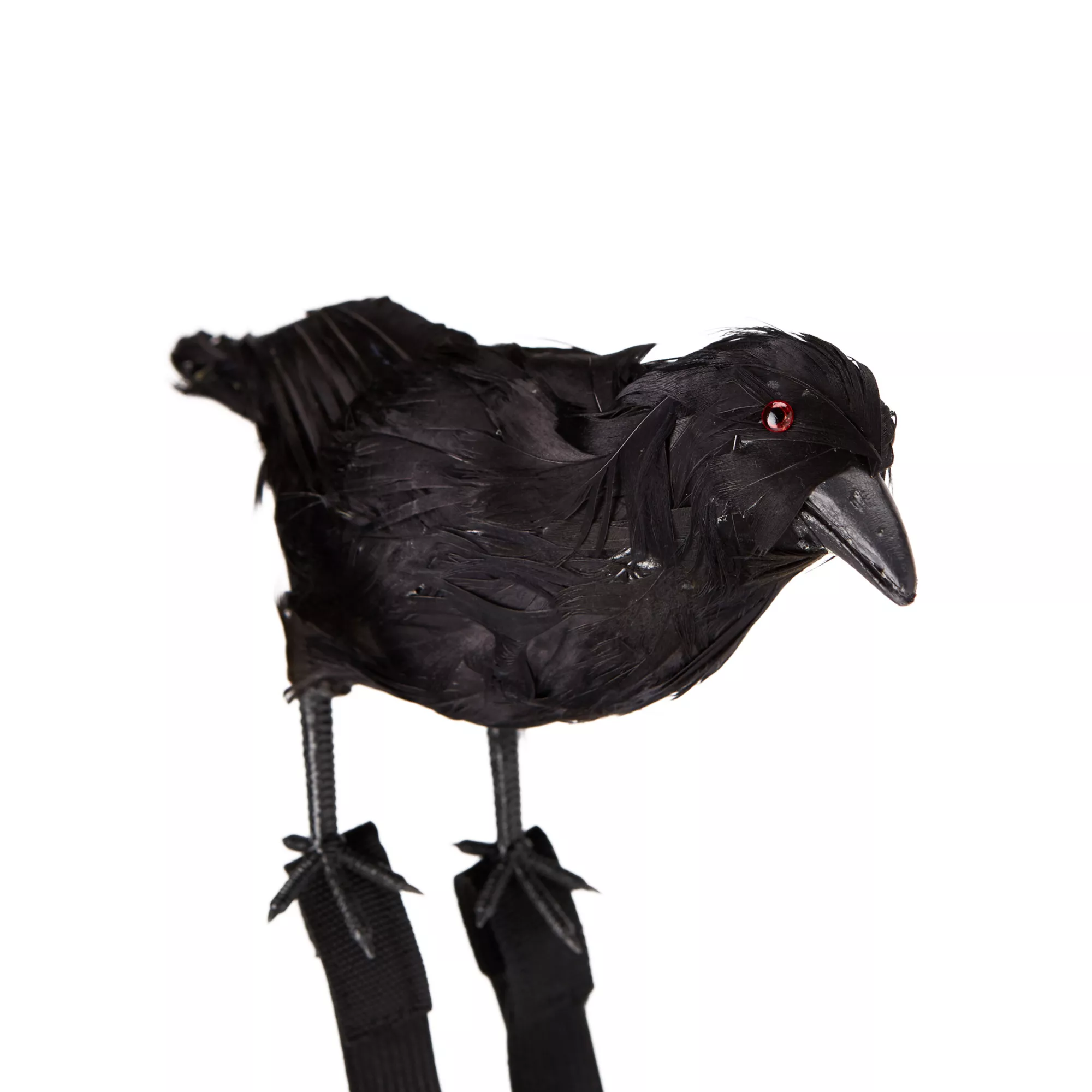 Black Crow Shoulder Prop at Spirit Halloween