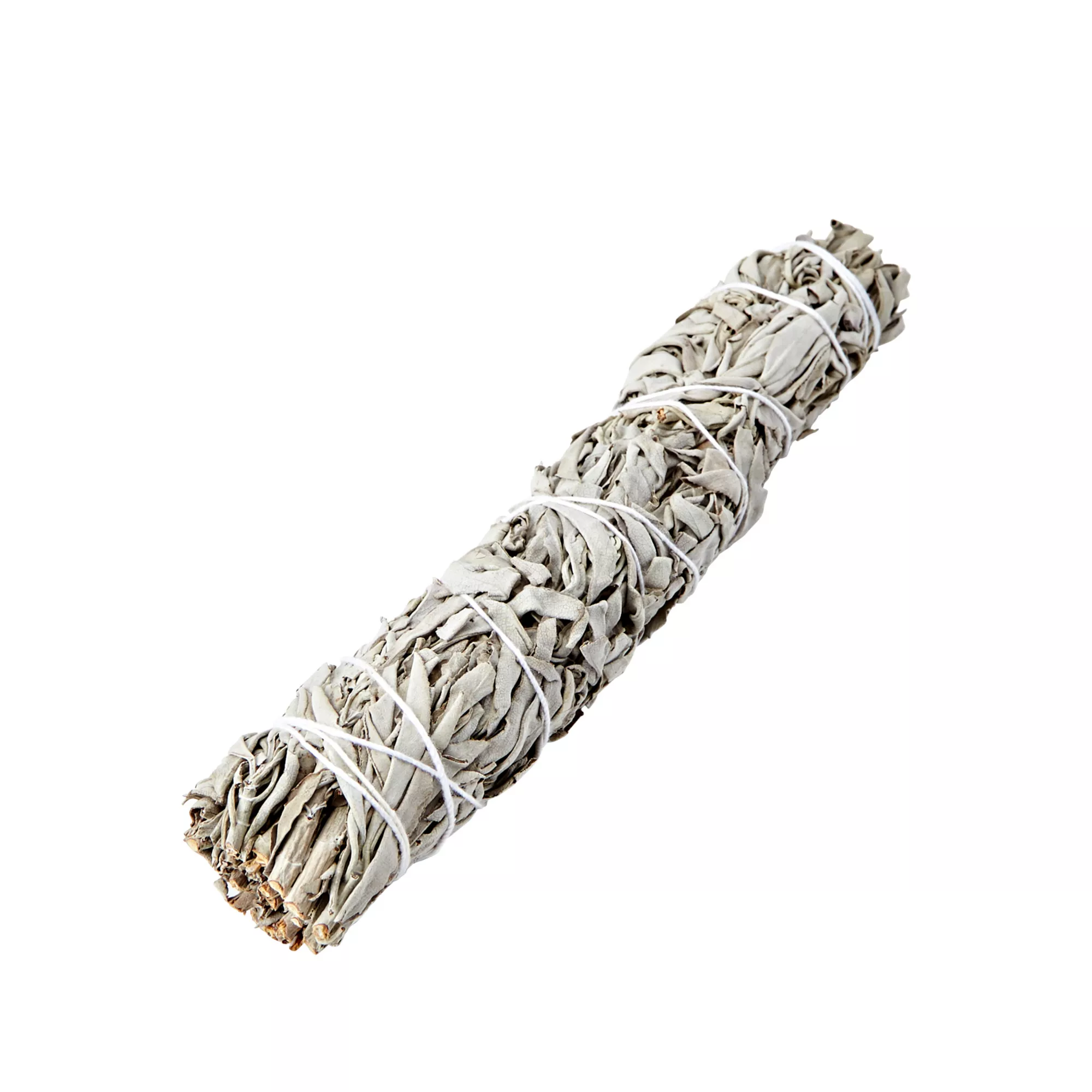 9” White Sage Smudge Stick at Spirit Halloween