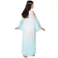 Kids Athena Costume at Spencer's