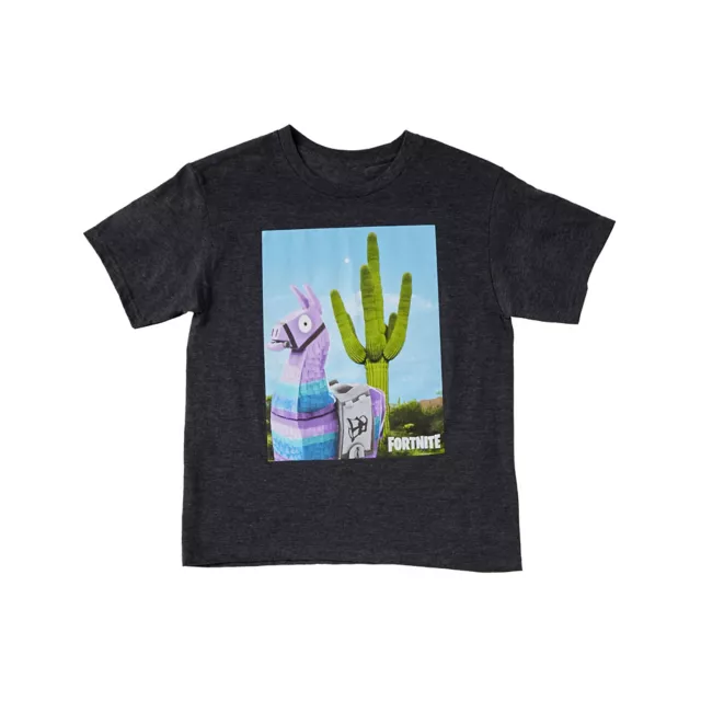 Boys Cactus Loot Llama T Shirt - Fortnite at Spencer's