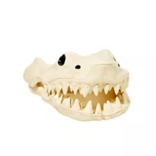Shark Skull - Decorations at Spencer's