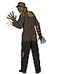 Adult Haunting Scarecrow Costume