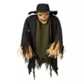 Scarecrow Convertible Hanging Prop and Lawn Stake at Spirit Halloween