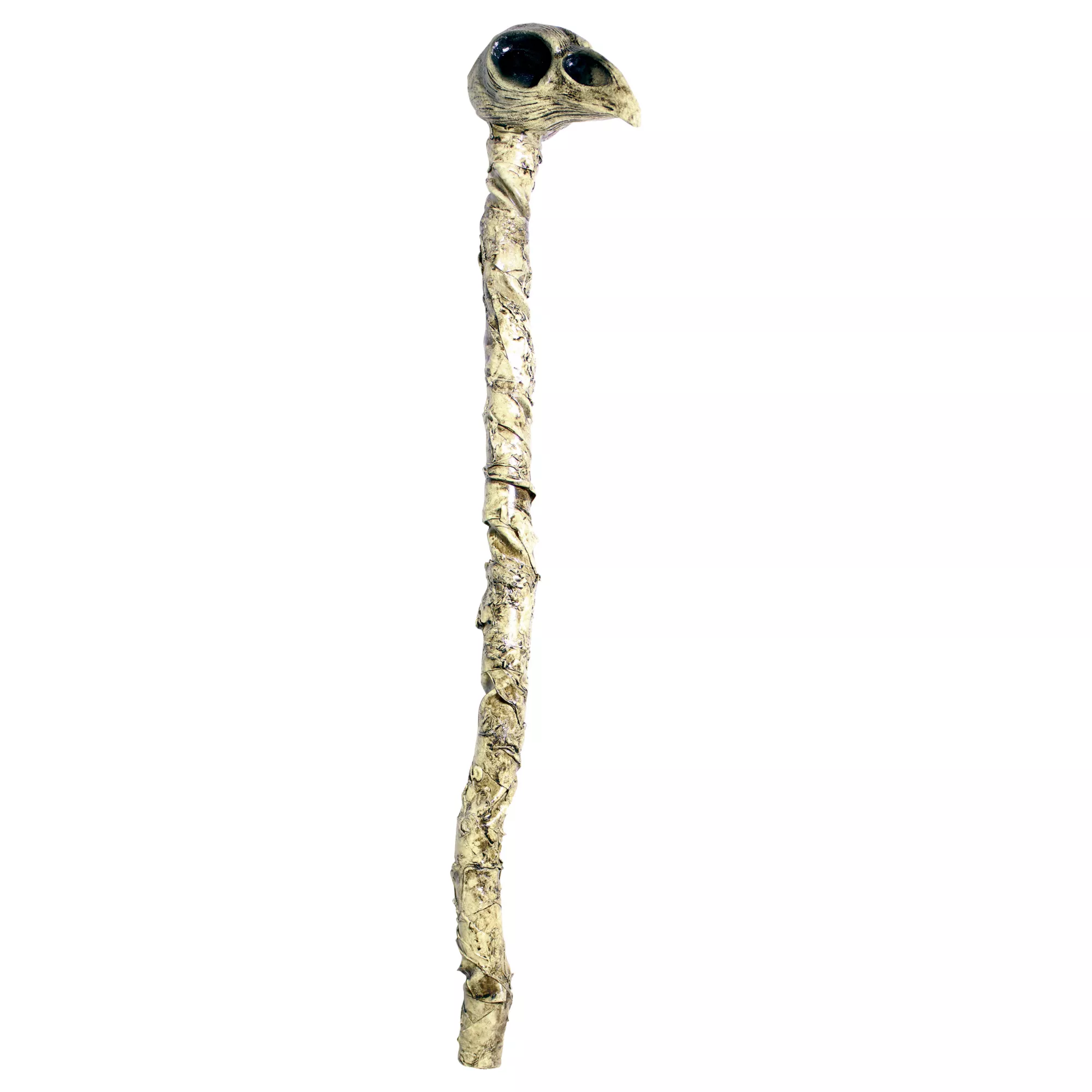 Witch Doctor Crow Staff at Spirit Halloween