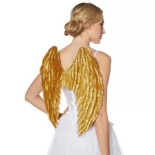 Goldtone Feather-Effect Angel Wings at Spencer's