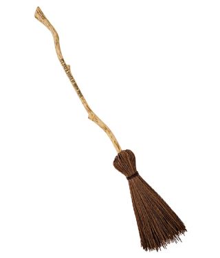 Hocus Pocus Broomstick