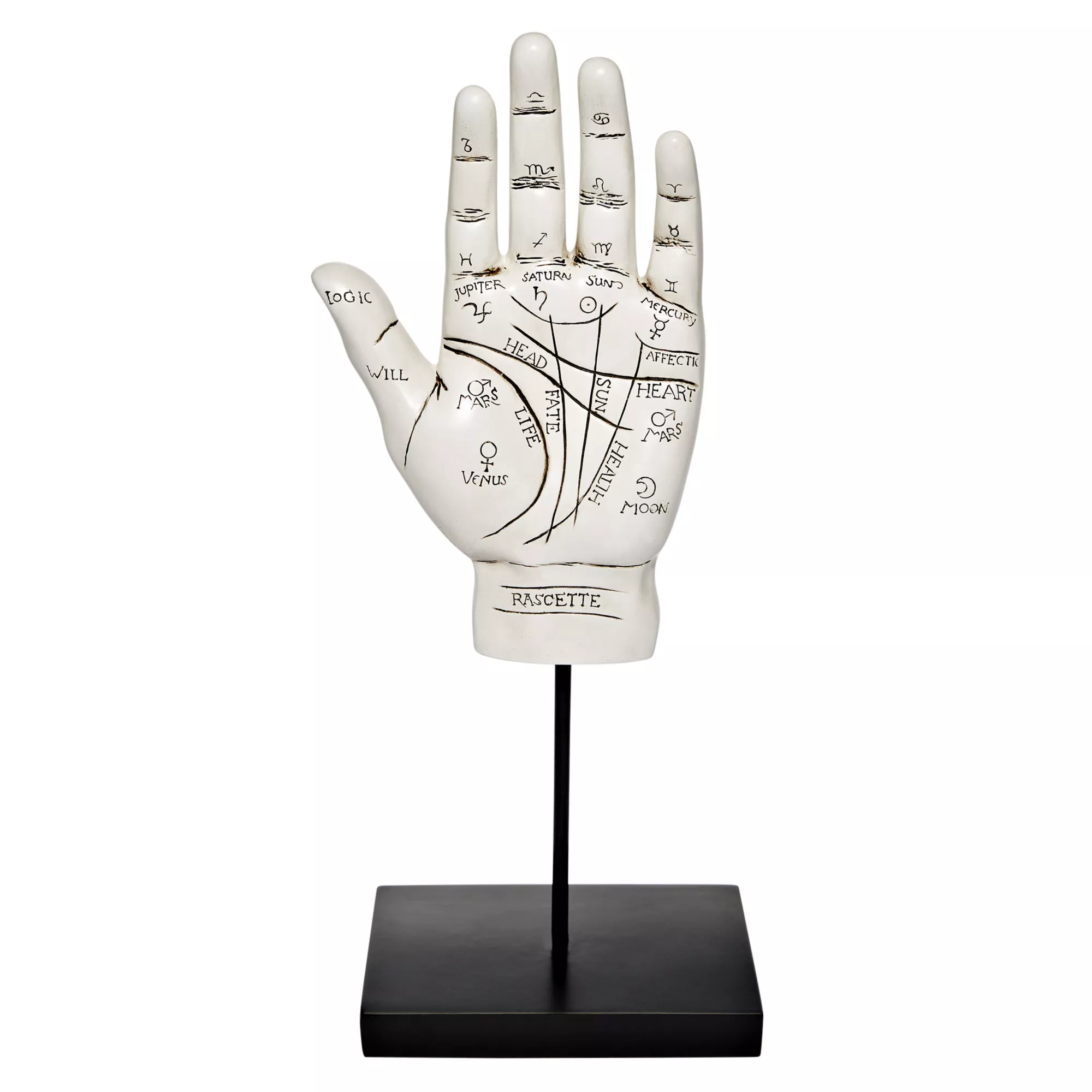 Palmistry Hand at Spirit Halloween