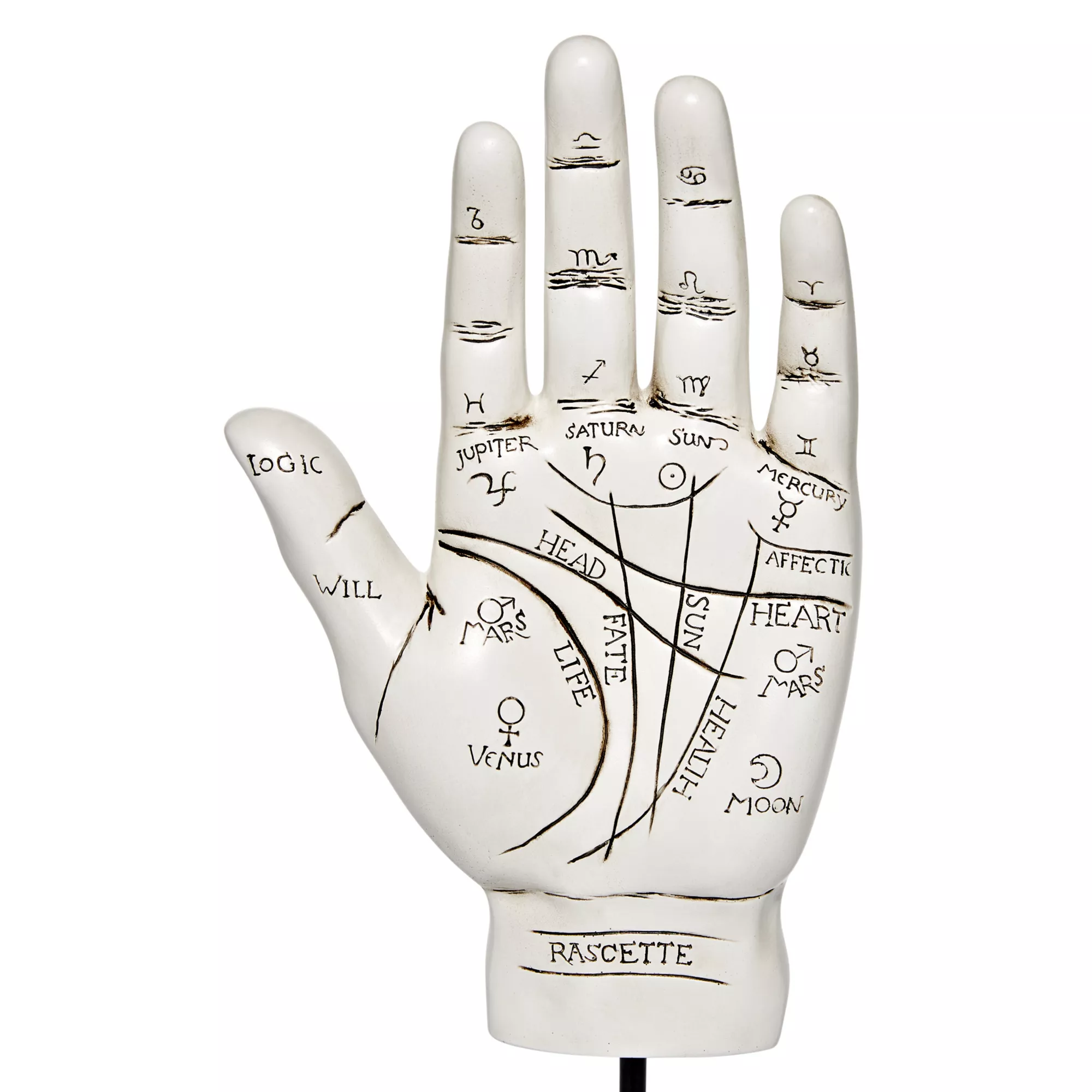 Palmistry Hand at Spirit Halloween
