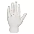 Palmistry Hand at Spirit Halloween