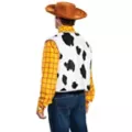Woody Costume Kit - Toy Story at Spencer's