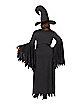 Adult Gothic Witch Plus Size Costume
