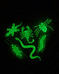 Glow In The Dark Critters