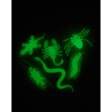 Glow In The Dark Critters at Spencer's