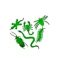 Glow In The Dark Critters at Spencer's