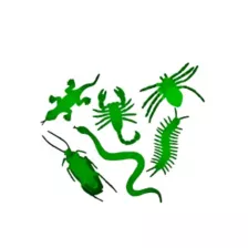 Glow In The Dark Critters at Spencer's