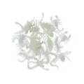 Glow In The Dark Critters at Spencer's