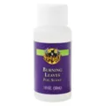 Burning Leaves Fog Scent - 1 oz. at Spirit Halloween
