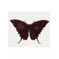 Butterfly Skull Temporary Tattoo at Spirit Halloween