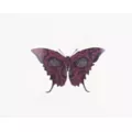 Butterfly Skull Temporary Tattoo at Spirit Halloween