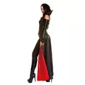 Adult Princess of Darkness Costume at Spencer's