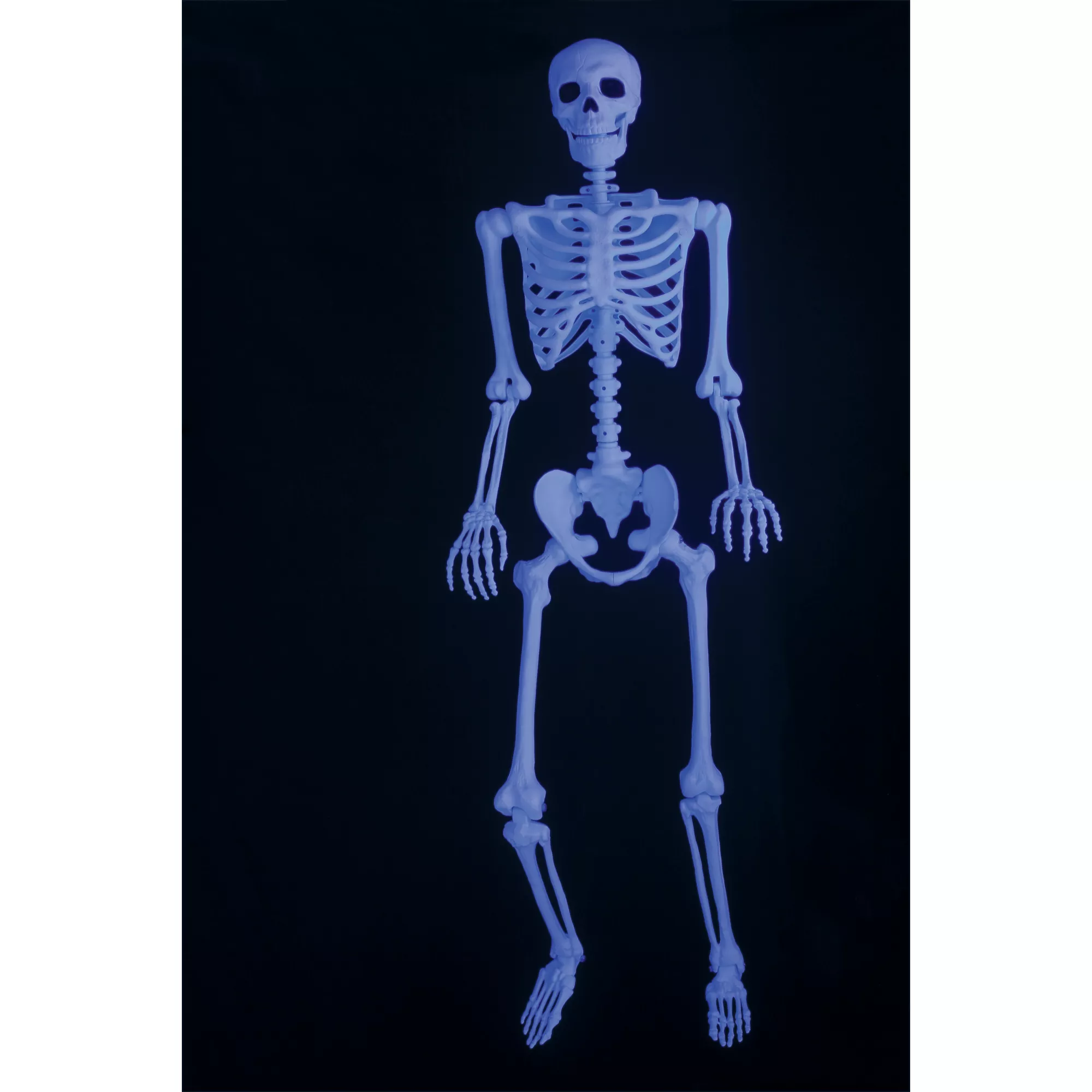 5 Ft Black Light Pose 'N' Stay Skeleton at Spirit Halloween