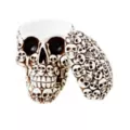 Skull Box at Spirit Halloween