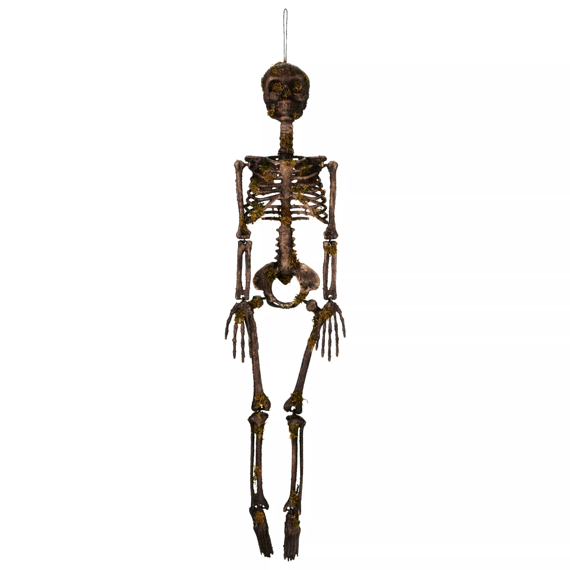 Moss Skeleton at Spirit Halloween