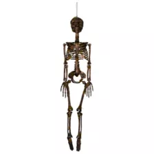 Moss Skeleton at Spirit Halloween