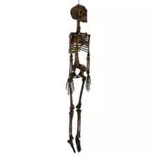 Moss Skeleton at Spirit Halloween