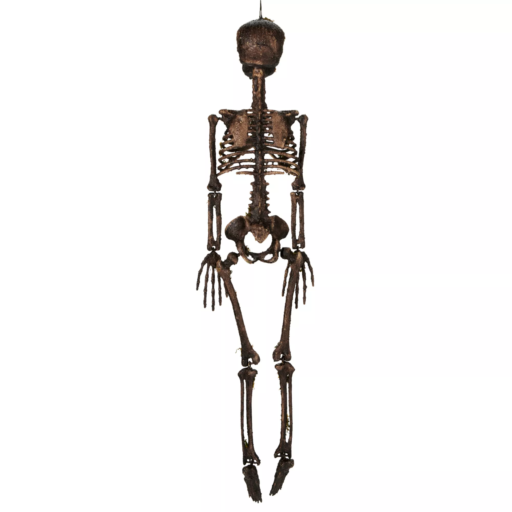 Moss Skeleton at Spirit Halloween