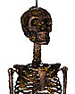 Moss Skeleton
