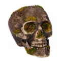 Moss Skull at Spirit Halloween