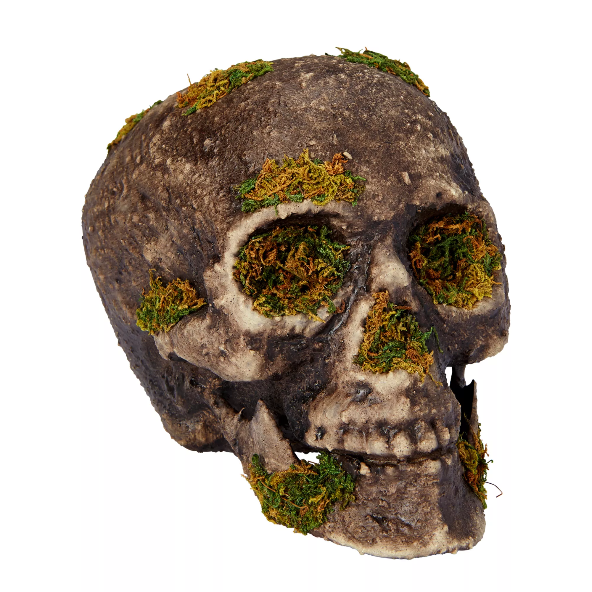 Moss Skull at Spirit Halloween