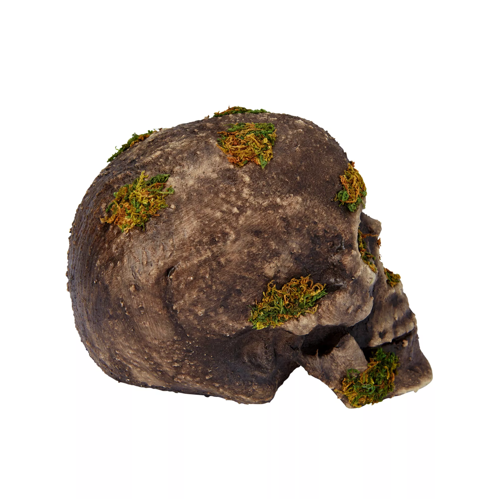 Moss Skull at Spirit Halloween