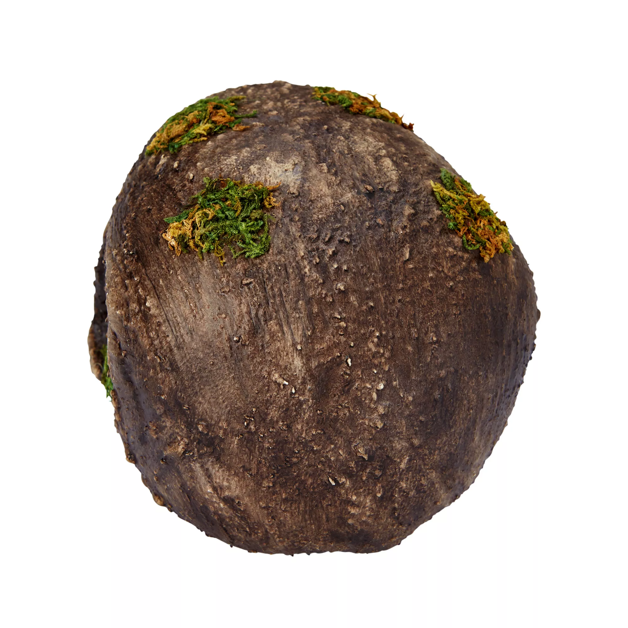 Moss Skull at Spirit Halloween