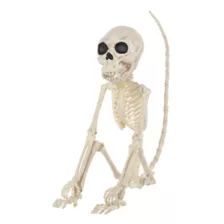 Monkey Skeleton at Spencer's