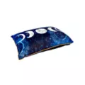 Tarot Moon Phase Pillow at Spencer's