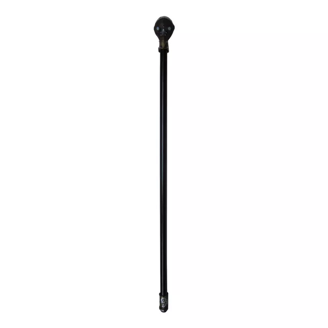 Steampunk Raven Skull Staff at Spencer's