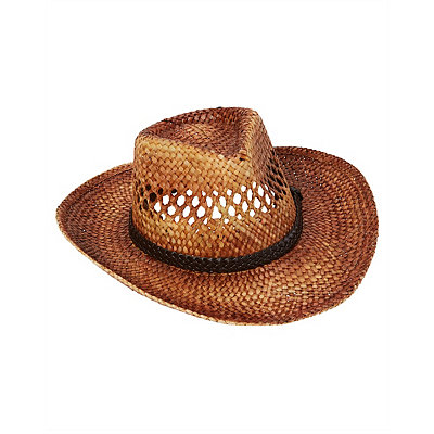Buy Busch Style Beer Box Cowboy Hat - Redneck Beer Hats