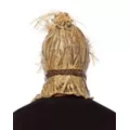 Wicked Scarecrow Full Mask at Spirit Halloween