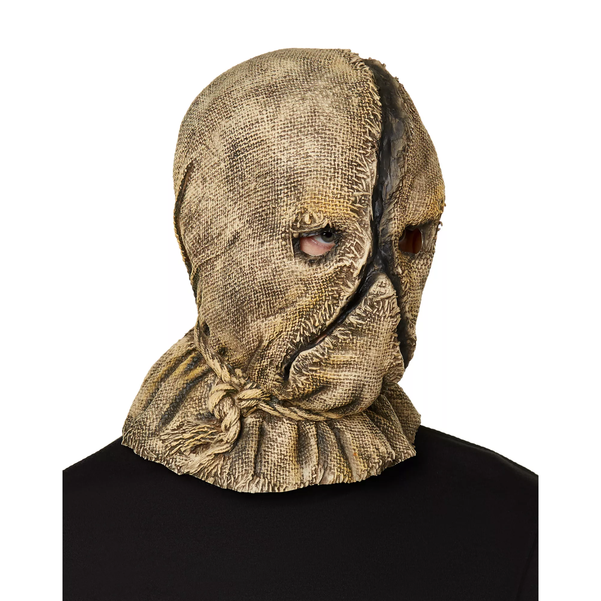 Scarecrow Full Mask with Hands at Spirit Halloween