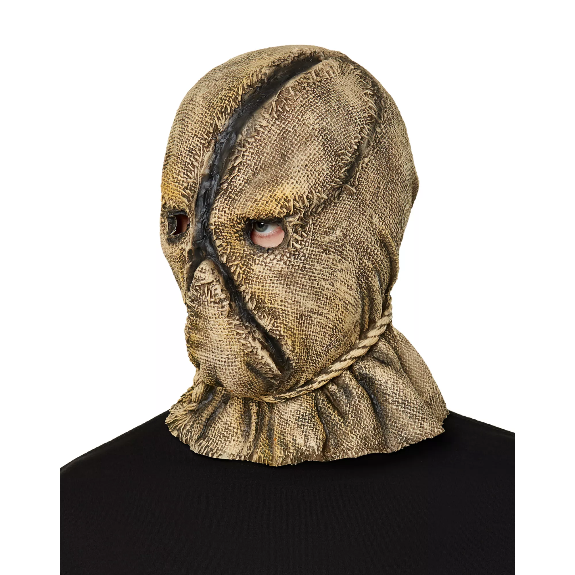 Scarecrow Full Mask with Hands at Spirit Halloween