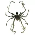 Green Camo Spider at Spirit Halloween