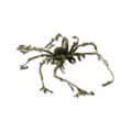 Green Camo Spider at Spirit Halloween