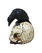 Gothic Noir Raven Skull Table Topper
