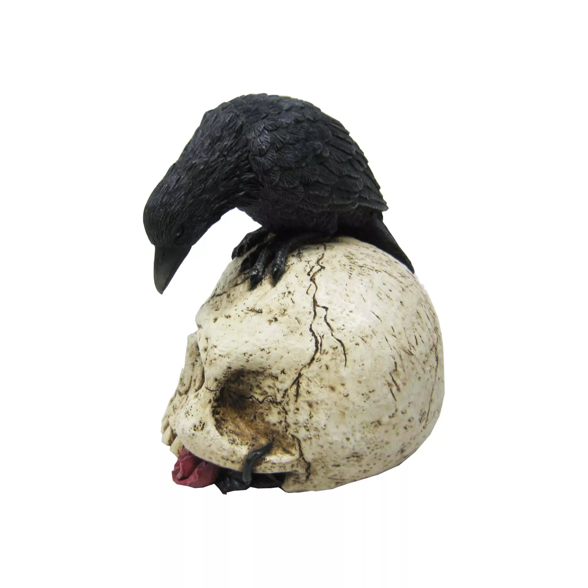 Gothic Noir Raven Skull Table Topper at Spencer's