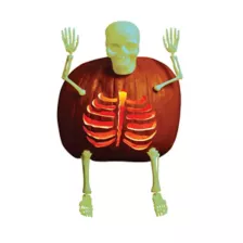Glow in the Dark Skeleton Bones at Spirit Halloween