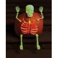 Glow in the Dark Skeleton Bones at Spirit Halloween