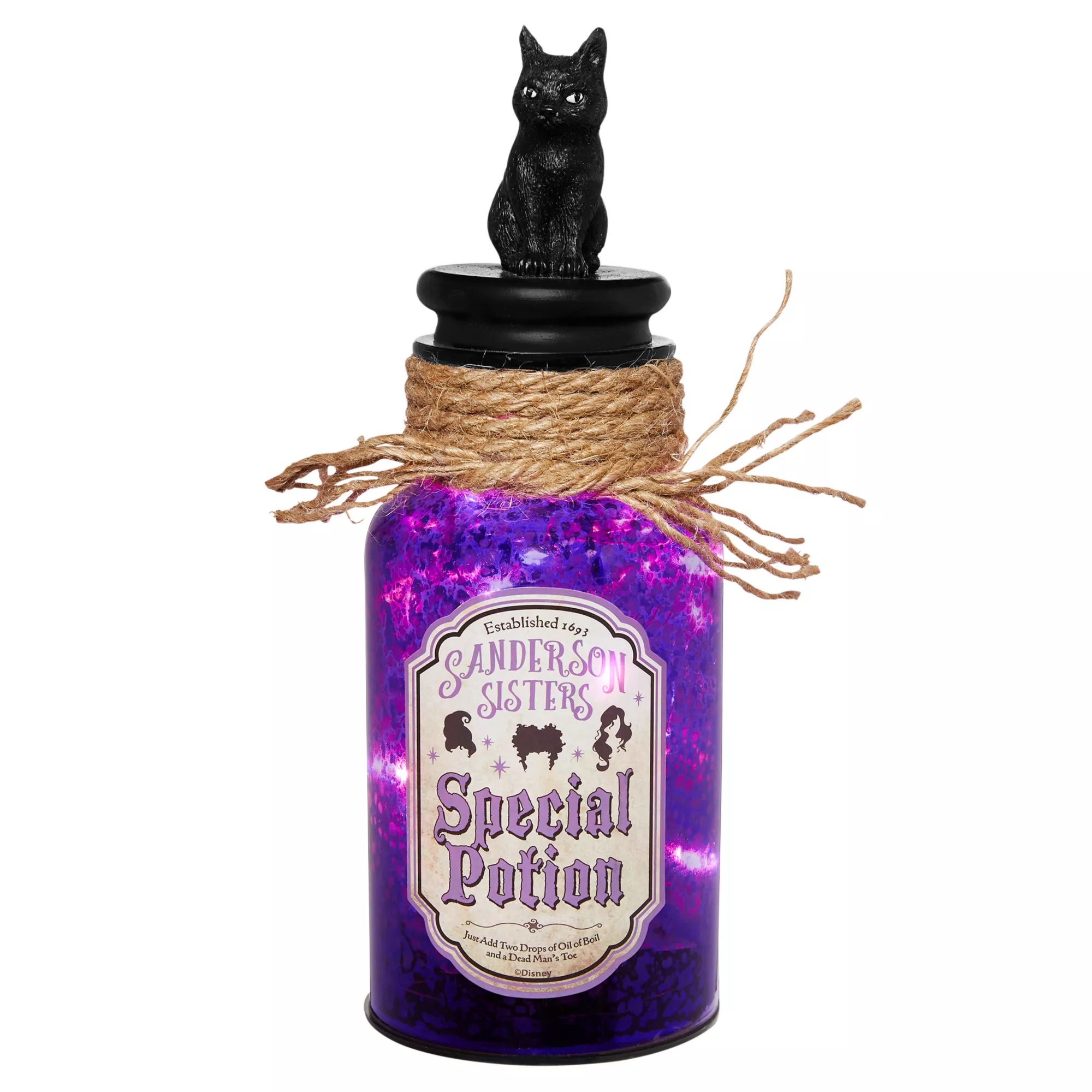 Light-Up Special Potion Bottle - Hocus Pocus at Spirit Halloween